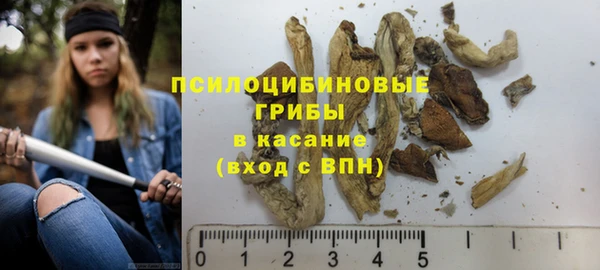дживик Медвежьегорск