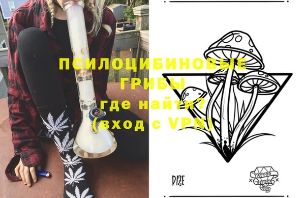 2c-b Мегион