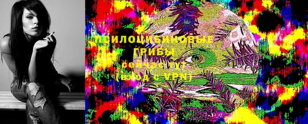 2c-b Мегион