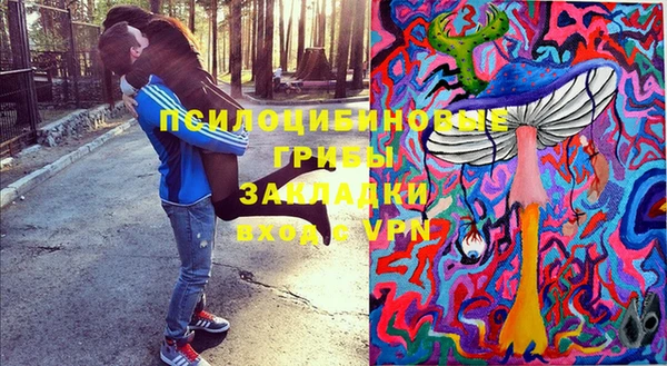 2c-b Мегион