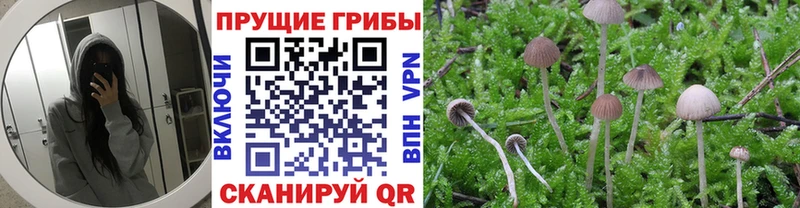 Галлюциногенные грибы ЛСД  Шебекино 