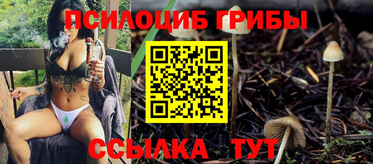 Галлюциногенные грибы Psilocybine cubensis  Вход с VPN  Шебекино  Галлюциногенные грибы ЛСД 